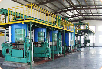 edible oil press