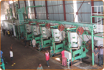 oil press