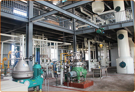 vegetable oil machine