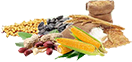oil seeds
