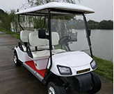 electric vehicles